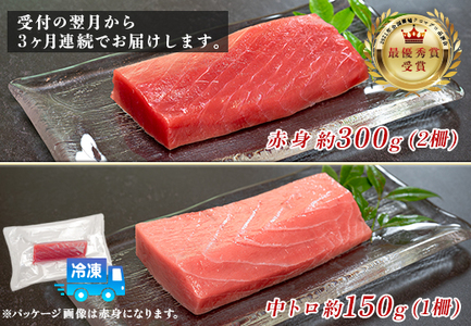 訳あり まぐろ マグロ 本鮪 黒潮本まぐろ 赤身 中トロ 定期便 3回 計450g × 3回 刺身