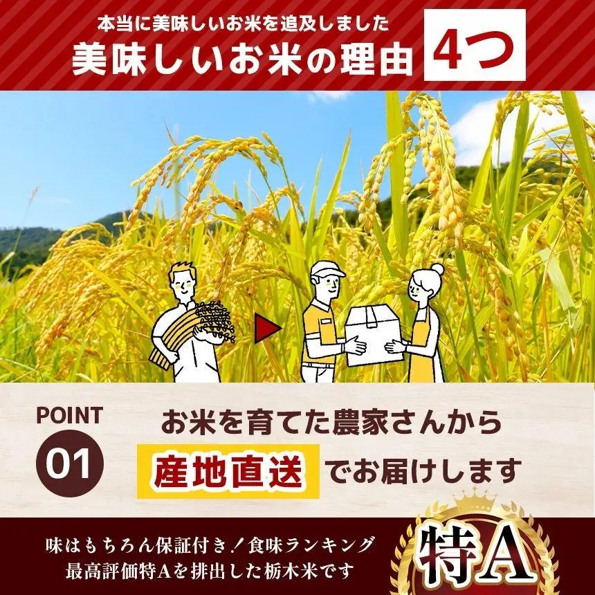 栃木県産 こしひかり 玄米 5kg 2026年 先行予約 | 栃木県 矢板市