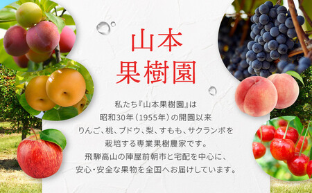 すりおろしりんごジュース 180ml×12本 | すりおろし果汁  リンゴ 林檎 果樹園 飛騨高山 山本果樹園 MA015