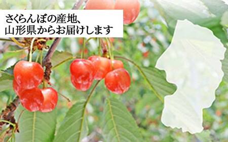 さくらんぼ 佐藤錦 300g L玉 秀品 1パック バラ詰め 山形県産 化粧箱入り 【令和8年度 先行予約】 FSY-2790