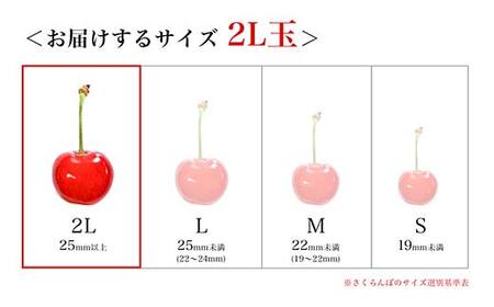 さくらんぼ 紅秀峰 300g 2L玉 秀品 1パック バラ詰め 山形県産 化粧箱入り 【令和8年度 先行予約】 FSY-2791
