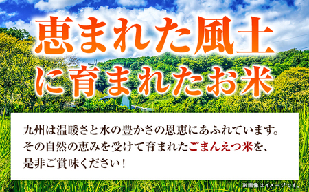 【18ヶ月定期便】 米 無洗米 ごまんえつ米 5kg 5kg×1袋 米 こめ 定期便 家庭用 備蓄 熊本県 長洲町 くまもと ブレンド米 熊本県産 訳あり 常温 配送 《お申込み翌月から出荷》
