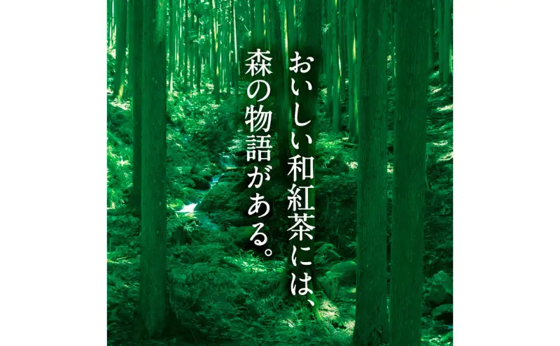 森からの和紅茶　はじまり缶（15袋入）〈紅茶 お茶 茶 茶葉 和紅茶 缶 飲料〉