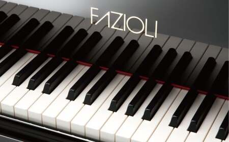 グランドピアノ 「 FAZIOLI （ ファツィオリ ）」 平日 3時間 弾き放題 1回分 ピアノ 演奏 ファツィオリピアノ 演奏体験 体験 チケット 体験チケット 利用券 券 貸切