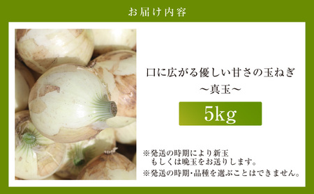 口に広がる優しい甘さの玉ねぎ ～真玉～　5kg(箱の重さ込み）・S097