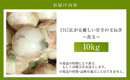 口に広がる優しい甘さの玉ねぎ ～真玉～　10kg（箱の重さ込み）・S098