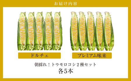 朝採れ！とうもろこし2種セット「プレミアム味来＆ドルチェ」各5本・S101