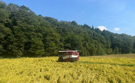 【先行予約】令和8年産 コシヒカリ 精米 2kg  コシヒカリ こしひかり 元田農産
