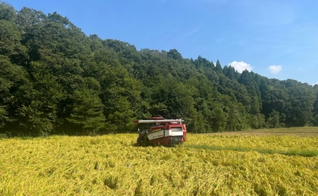 【先行予約】【定期便】令和8年産 コシヒカリ 精米10kg×3ヶ月（毎月） お米 白米 こしひかり｜石川県 小松市【元田農産】