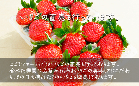 いちご 茨城県産とちおとめ 約1080g いちご