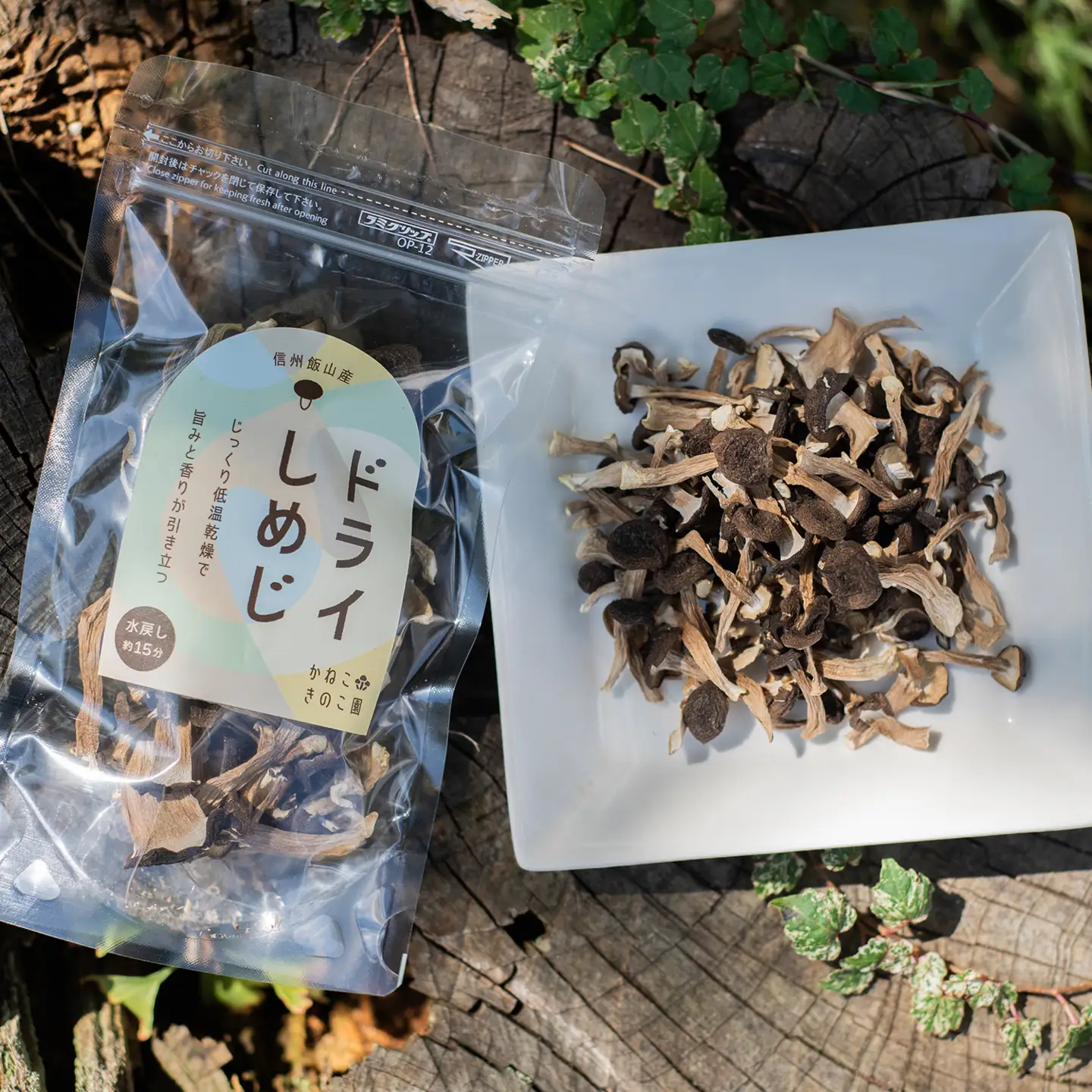  ＼ ドライぶなしめじ ／ 20g　3袋 （Bz-002）きのこ