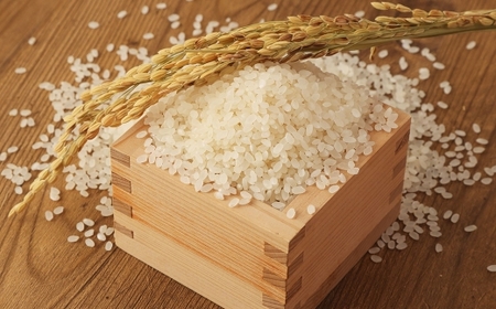 【令和7年産】無洗米 食味鑑定士厳選 夢つくし 15kg （5kg×3袋） お米 米 白米 食品 ご飯 飯 5kg 3袋