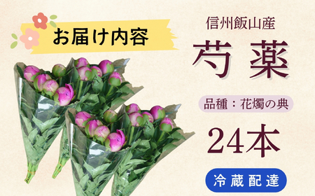 芍薬 切花 〜華燭の典〜 24本セット【2026年5月上旬より出荷】(Ca-002) 