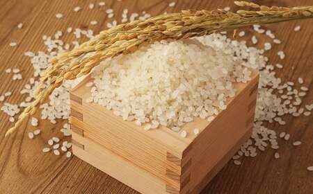 【令和7年産】無洗米 食味鑑定士厳選 夢つくし 30kg （5kg×6袋） お米 米 白米 食品 ご飯 飯 5kg 6袋