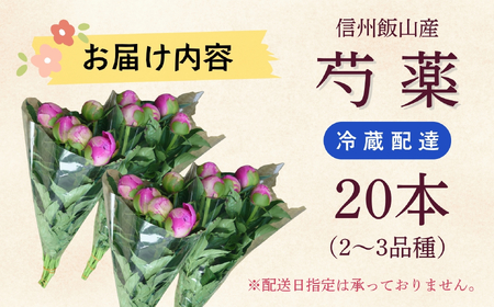 芍薬 切花 おまかせ2〜3品種 20本セット【2026年5月上旬より出荷】(Ca-001)
