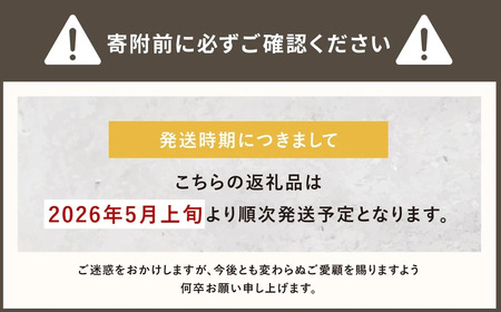 レジャーシート サンドベージュ 大判 ファミリーサイズ（大人5～6名）【CORTDOOR】 200cm フチ自立型 ペグ穴付き クッション 厚手 大きい 折りたたみ 洗える 撥水 コンパクト 収納 ピクニックシート キャンプ用品 レジャー BBQ 福岡県 直方市