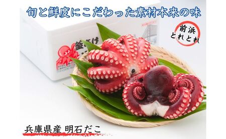 ほんまにうまい 明石前浜セット 魚貝類 タコ ちりめん 