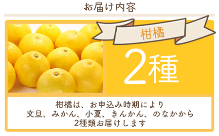 【2026年11月発送】マスクメロン&柑橘2種セット yr-0111