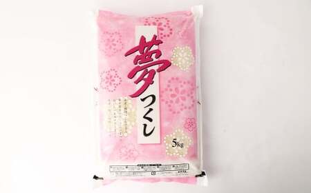 【令和7年産】 無洗米 食味鑑定士厳選 夢つくし 計20kg（5kg×4袋） お米 米 白米 食品 ご飯 飯 九州 福岡県 香春町 令和7年