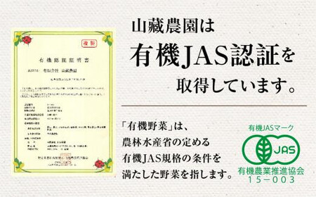 飛騨高山産 季節の有機栽培お野菜BOX（ファミリー）お届け：6月〜10月｜ファミリー 新鮮  有機野菜 旬野菜 地元野菜 やさい 農園 高山市 山藏農園 JC022