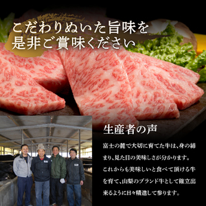 牛肉【3ヶ月お届け】山梨県産 富士山麓牛 霜降りカルビ 500g 定期便