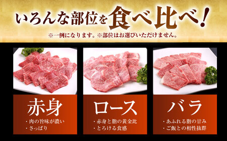 【訳あり】 佐賀牛 焼肉セット 500g 【山下牛舎】[HAD165]