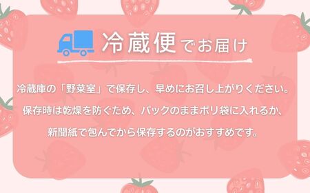 こまつイチゴ 紅ほっぺ 【 3パック（約750g）】苺 べにほっぺ | 石川県 小松市 JAあぐり