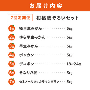 【8070】JAわかやま紀州　柑橘勢ぞろい　セット　7回　定期便