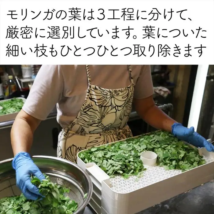 沖縄宮古島産 無農薬モリンガパウダーとモリンガ茶のセット
