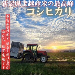 令和8年産【10月下旬配送】 新米 先行予約 新潟県産 コシヒカリ 5kg 最高品質のお米を追求し続ける 篠宮農場 上越市 精米