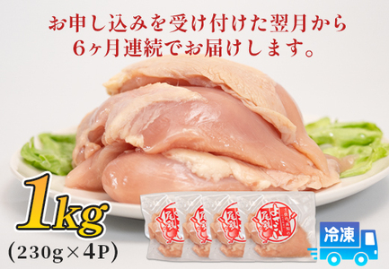 鶏肉 むね肉 1kg 定期便 6回 （1kg×6回） 鶏むね ムネ肉 若鶏 ヘルシー 冷凍 小分け