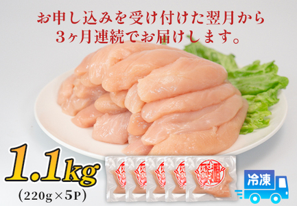 鶏肉 ささみ 1.1kg 定期便 3回 （1.1kg×3回） 鶏ささみ ササミ 若鶏 チキン 小分け