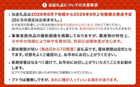 先行予約【2026年8月下旬から2026年9月上旬頃発送】 ブドウ 3種類セット 約2kg 