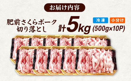 肥前さくらポーク 切り落とし 500g × 10パック 計 5kg 切り落とし 豚 豚肉 大容量 吉野ヶ里町/上場食肉[FDQ008]