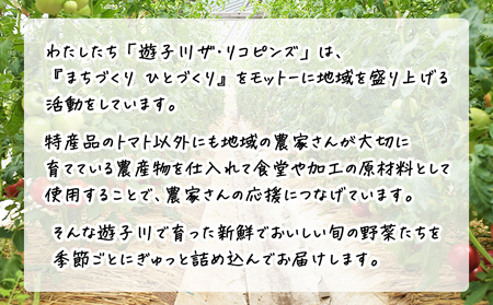 ＜旬の採れたて野菜が詰まったお楽しみBOX（3か月ごと年4回の定期便）＞ 西予市遊子川産 農家さんの顔が見える野菜 定期便 野菜 食べて応援 特産品 遊子川ザ・リコピンズ 愛媛県 西予市【常温】『【1回目】毎月末日までの申込で翌月中旬より順次発送』SYR0009