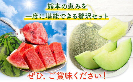 小玉スイカ&肥後グリーンメロン 食べ比べ 各2玉(計4玉 約7kg) 日本フルーツ株式会社 《5月中旬-7月末頃出荷》 熊本県 菊池市 西瓜 メロン 熊本県産