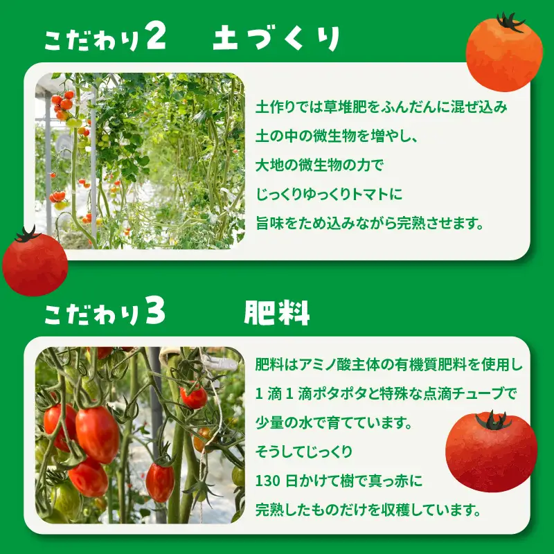 【5月中旬以降発送】フルーツトマト　フラガール1kg（へたなし）