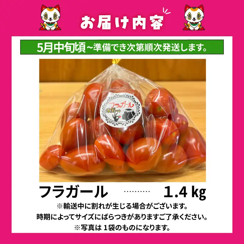 【5月中旬以降発送】フルーツトマト　フラガール1.4kg（へたなし）