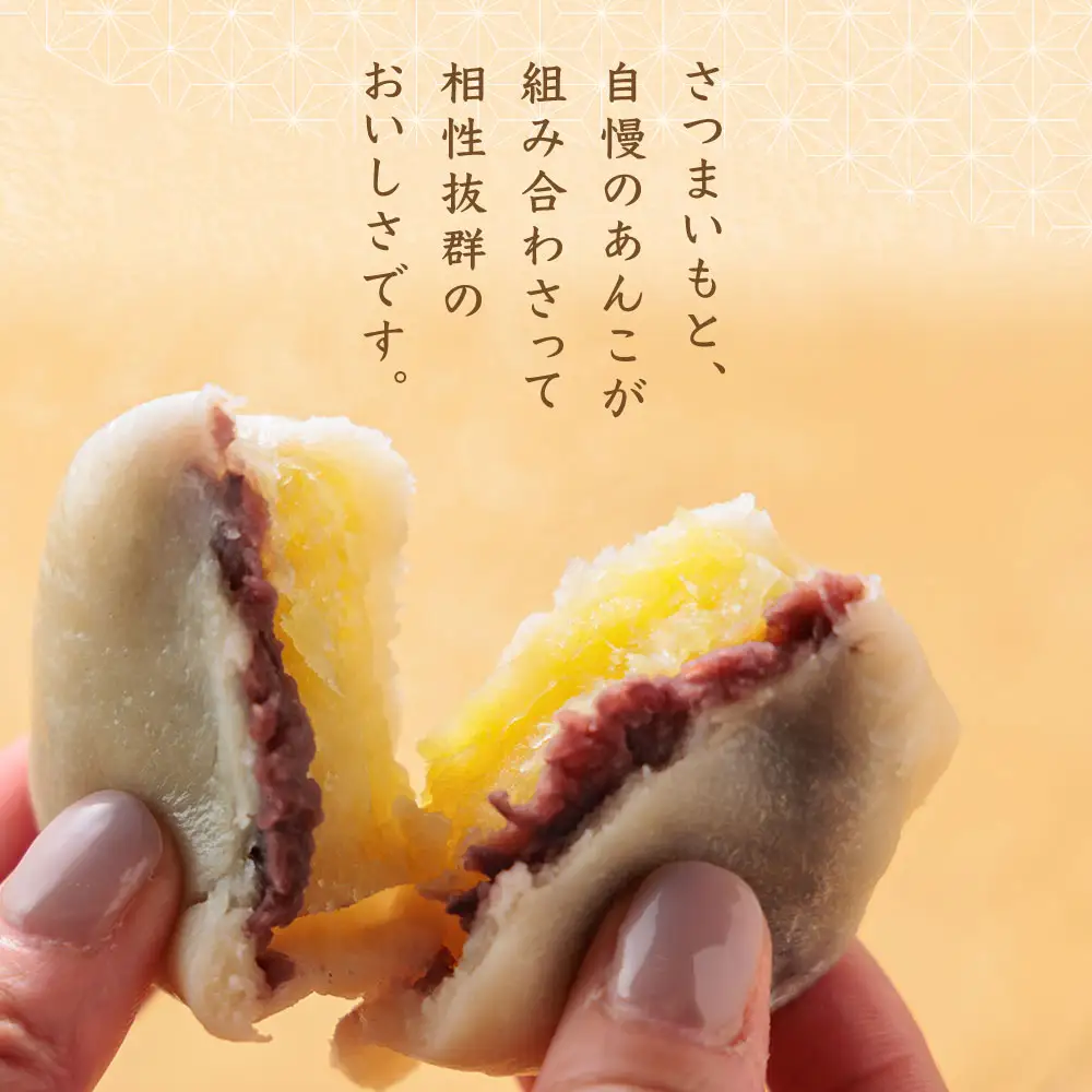 熊本郷土菓子 いきなりだんご 10個