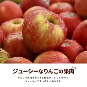 アップルチョコレートミルク900g【fktr0004】