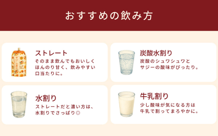 サジーの恵み 900ml【136024】
