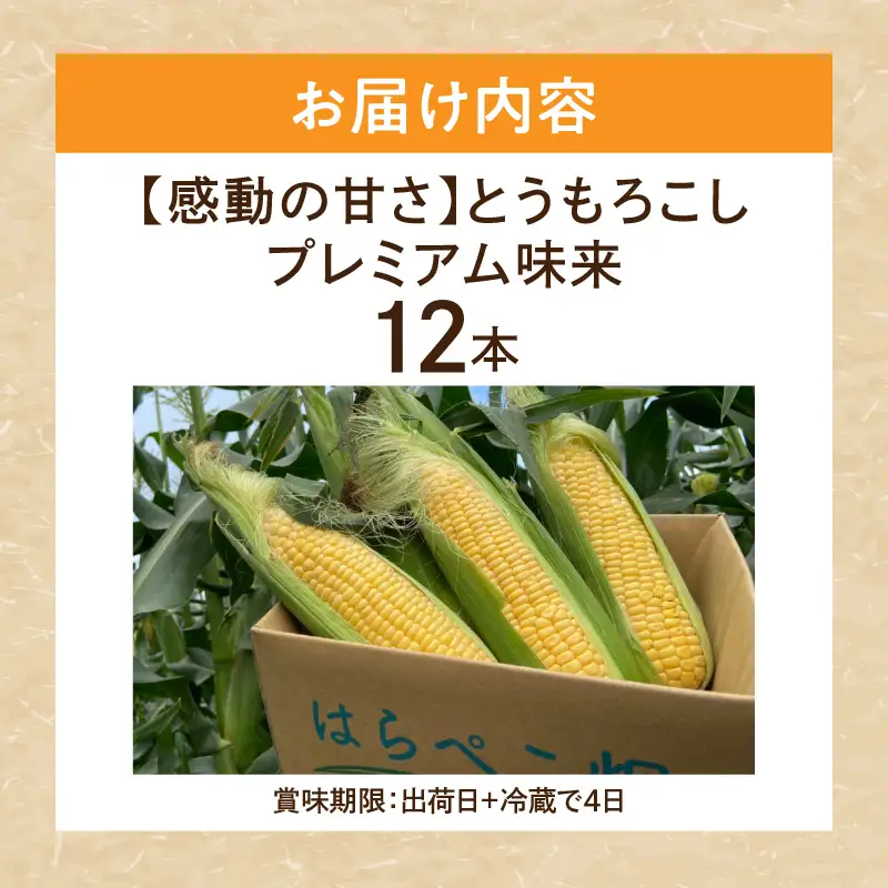 【感動の甘さ】とうもろこしプレミアム味来  6本入り／2箱・H075-18