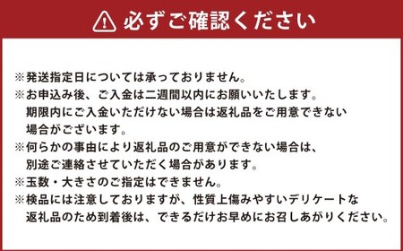 【先行予約】 西見柿農園 特選太秋柿 5玉から6玉 （約2kg） 贈答用 ギフト 【2026年11月上旬-12月上旬発送予定】 完熟柿 柿 かき カキ 太秋 たいしゅう 完全甘柿 果物 くだもの フルーツ 果実 ジューシー 樹上完熟 お取り寄せ 福岡県 うきは市