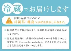 甲州市産 サンシャインレッド 4～5房入（約2.2kg）自然農法【2026年発送】（BNC）D2-425 サンシャインレッド フルーツ