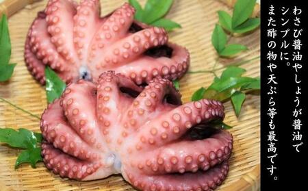 明石産煮蛸 ・ 湯だこ ・ 干だこ セット 魚貝類 タコ 加工食品 干物 