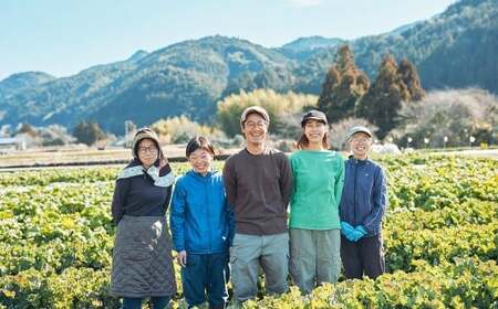 完熟 冬にんじんジュース 720ml×2本（計1400ml） 【2026年2月上旬～8月下旬迄発送予定】 人参 にんじん ニンジン ジュース 飲料 野菜飲料 野菜ジュース 飲み物 果汁飲料 常温 高知県 香美市