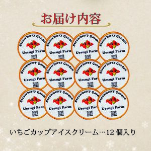 いちごカップアイスクリーム 120ml 12個入り アイスクリーム 苺 上杉農園