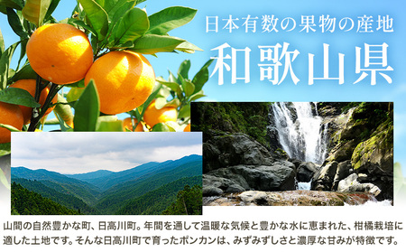 和歌山県産 ポンカン 5kg 中畑農園 ぽんかん 柑橘
