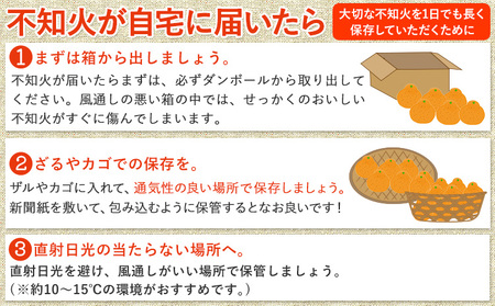 不知火 訳あり 5kg 中畑農園 しらぬい 柑橘