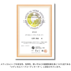 ホッと、すっきり、癒しの ハーブティー セット | 美城 